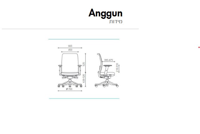Anggun-מידות.jpg